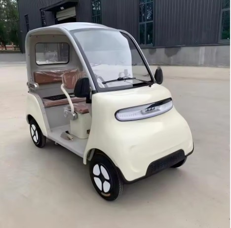 Little Bee New Energy Vehicle